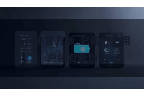 比特派官方版 它履行"用户领有私钥