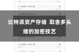 比特派资产存储 取舍多头绪的加密技艺