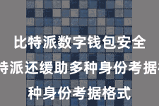 比特派数字钱包安全  比特派还缓助多种身份考据格式