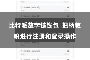 比特派数字链钱包  把柄教唆进行注册和登录操作