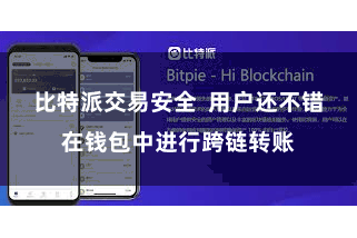 比特派交易安全  用户还不错在钱包中进行跨链转账