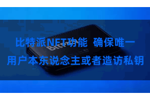 比特派NFT功能 确保唯一用户本东说念主或者造访私钥