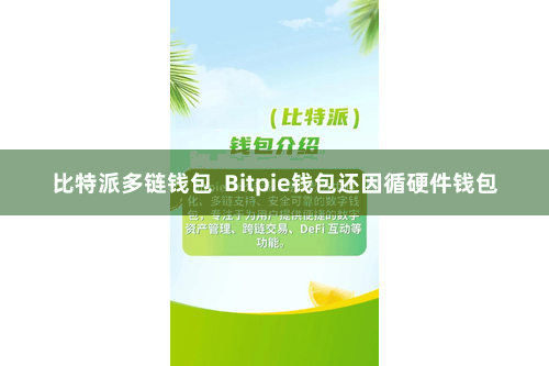 比特派多链钱包  Bitpie钱包还因循硬件钱包