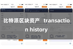 比特派区块资产   transaction history