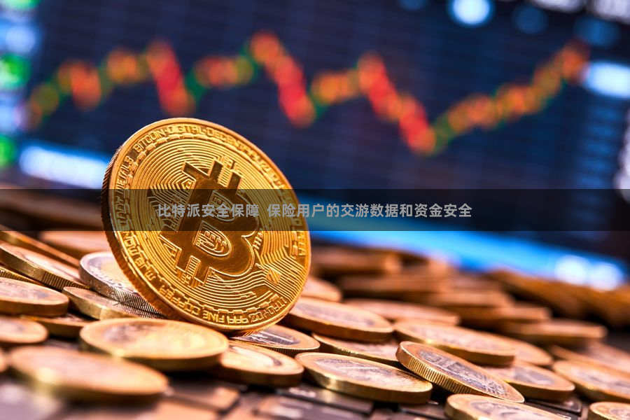 比特派安全保障  保险用户的交游数据和资金安全