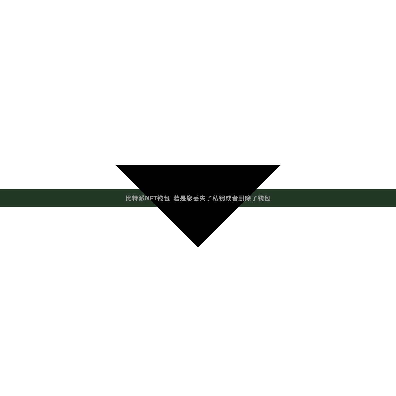 比特派NFT钱包  若是您丢失了私钥或者删除了钱包