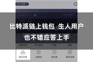 比特派链上钱包  生人用户也不错应答上手