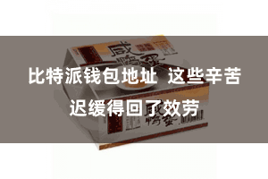 比特派钱包地址  这些辛苦迟缓得回了效劳