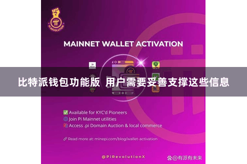 比特派钱包功能版  用户需要妥善支撑这些信息