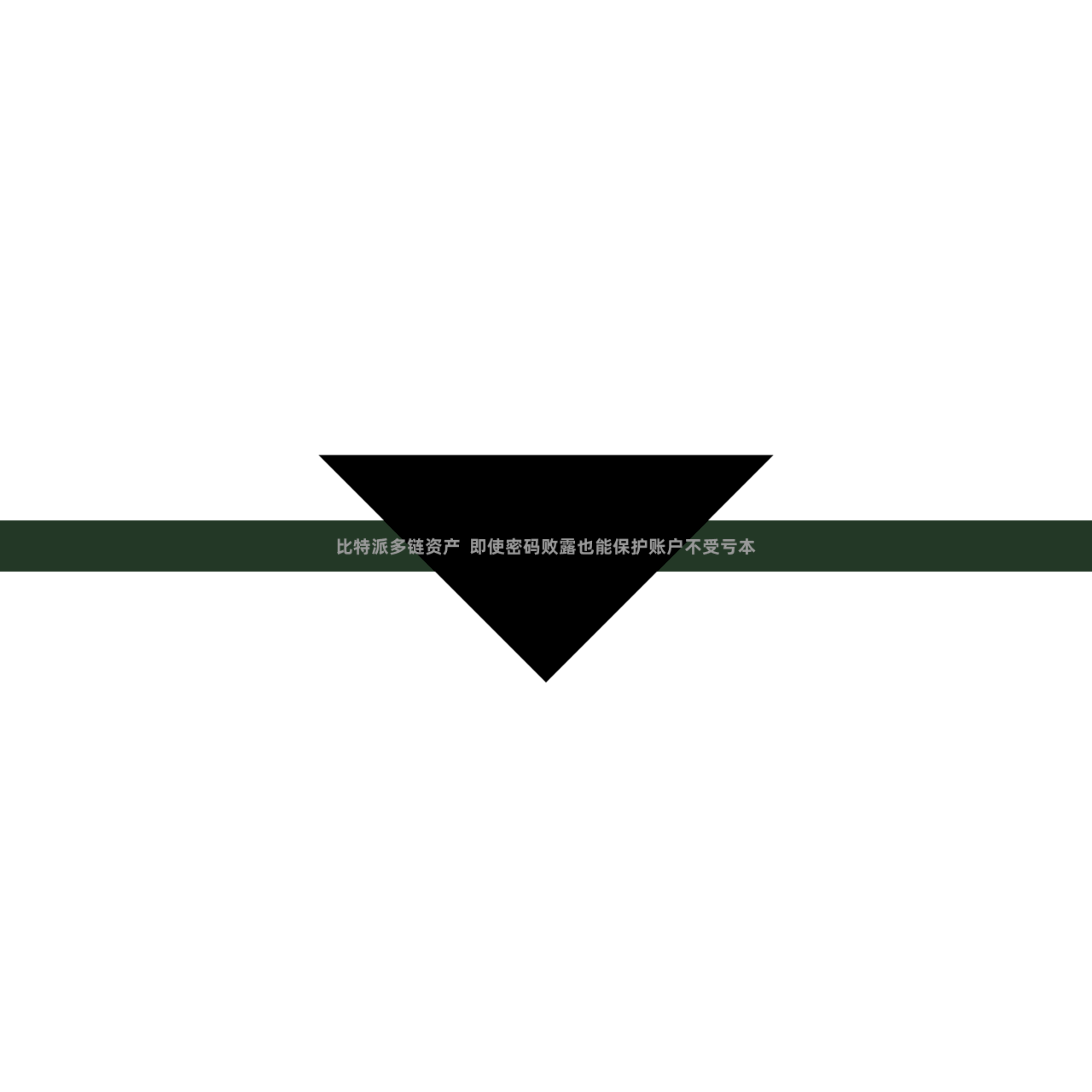 比特派多链资产  即使密码败露也能保护账户不受亏本