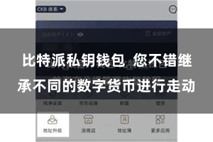 比特派私钥钱包  您不错继承不同的数字货币进行走动